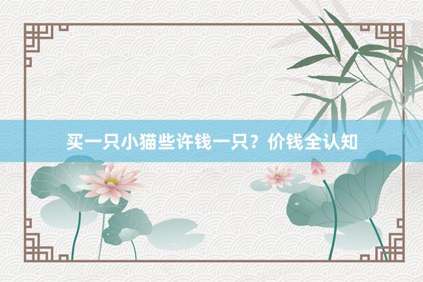 买一只小猫些许钱一只？价钱全认知
